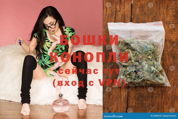 молекула духа Новозыбков