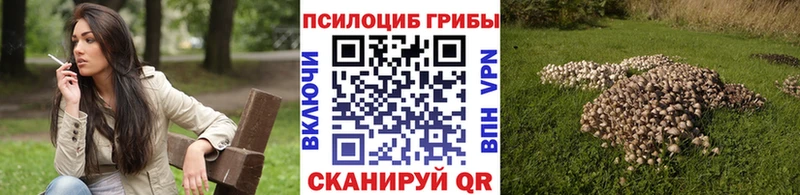 сколько стоит  Холмск  Галлюциногенные грибы Psilocybe 